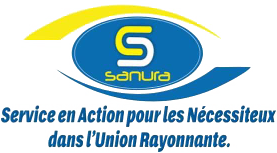 logo snaura