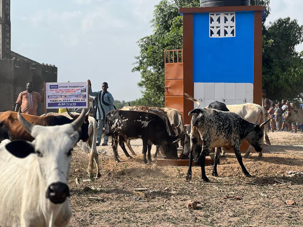 photo_29_2024-04-22_14-19-45