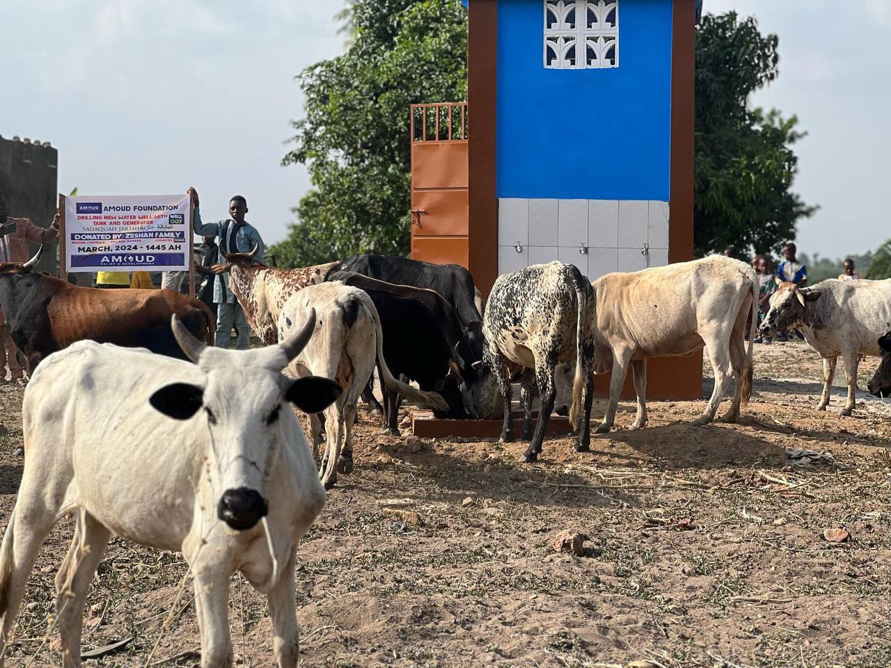 photo_30_2024-04-22_14-19-45